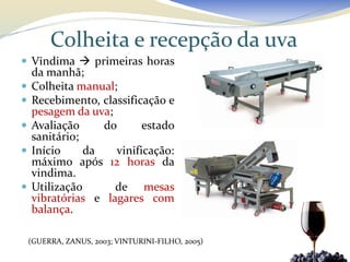 Colheita e recepção da uva
 Vindima  primeiras horas
    da manhã;
   Colheita manual;
   Recebimento, classificação e
    pesagem da uva;
   Avaliação     do      estado
    sanitário;
   Início     da   vinificação:
    máximo após 12 horas da
    vindima.
   Utilização      de mesas
    vibratórias e lagares com
    balança.

    (GUERRA, ZANUS, 2003; VINTURINI-FILHO, 2005)
 