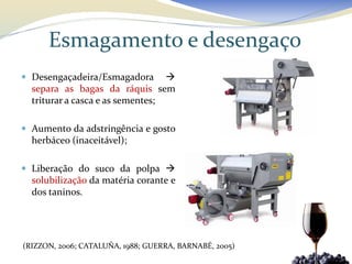 Esmagamento e desengaço
 Desengaçadeira/Esmagadora       
  separa as bagas da ráquis sem
  triturar a casca e as sementes;

 Aumento da adstringência e gosto
  herbáceo (inaceitável);

 Liberação do suco da polpa 
  solubilização da matéria corante e
  dos taninos.




(RIZZON, 2006; CATALUÑA, 1988; GUERRA, BARNABÉ, 2005)
 