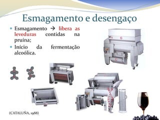 Esmagamento e desengaço
 Esmagamento  libera as
  leveduras     contidas   na
  pruína;
 Início     da   fermentação
  alcoólica.




(CATALUÑA, 1988)
 
