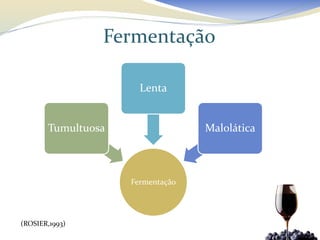 Fermentação

                      Lenta


       Tumultuosa                 Malolática



                    Fermentação




(ROSIER,1993)
 