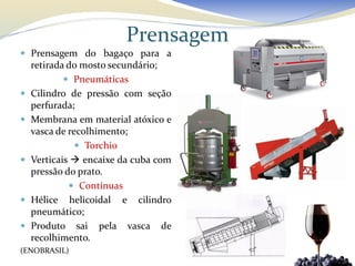 Prensagem
 Prensagem do bagaço para a
    retirada do mosto secundário;
             Pneumáticas
   Cilindro de pressão com seção
    perfurada;
   Membrana em material atóxico e
    vasca de recolhimento;
                Torchio
   Verticais  encaixe da cuba com
    pressão do prato.
              Contínuas
   Hélice helicoidal e cilindro
    pneumático;
   Produto sai pela vasca de
    recolhimento.
(ENOBRASIL)
 