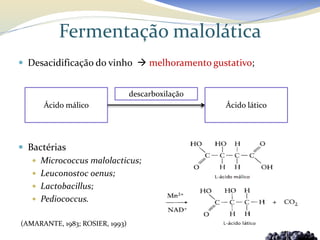 Fermentação malolática
 Desacidificação do vinho  melhoramento gustativo;


                                 descarboxilação
      Ácido málico                                 Ácido lático




 Bactérias
    Micrococcus malolacticus;
    Leuconostoc oenus;
    Lactobacillus;
    Pediococcus.


(AMARANTE, 1983; ROSIER, 1993)
 