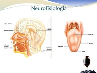 Neurofisiologia
 