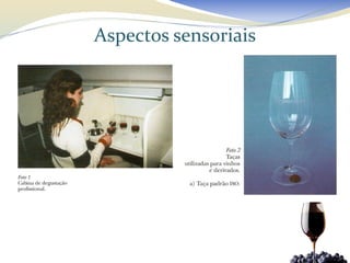 Aspectos sensoriais
 
