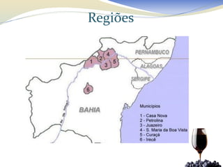 Regiões
 