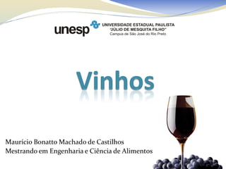 Maurício Bonatto Machado de Castilhos
Mestrando em Engenharia e Ciência de Alimentos
 