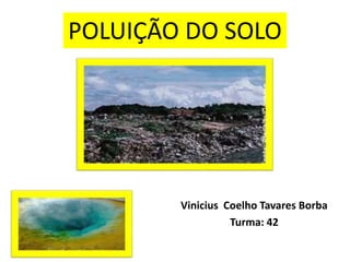 Vinicius Coelho Tavares Borba
Turma: 42
POLUIÇÃO DO SOLO
 
