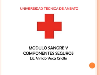 UNIVERSIDAD TÉCNICA DE AMBATO




   MODULO SANGRE Y
 COMPONENTES SEGUROS
    Lic. Vinicio Vaca Criollo
 