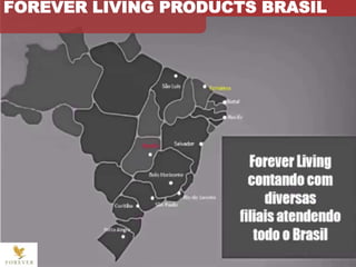 FOREVER LIVING PRODUCTS BRASIL
 