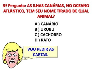 5ª Pergunta: AS ILHAS CANÁRIAS, NO OCEANO ATLÂNTICO, TEM SEU NOME TIRADO DE QUAL ANIMAL? A ) CANÁRIO B ) URUBU C ) CACHORRO D ) RATOVOU PEDIR AS CARTAS.