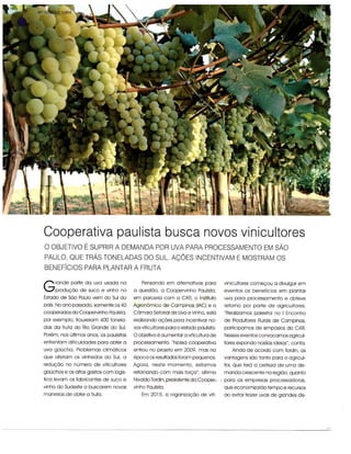 Cooperativa paulista busca novos vinicultores