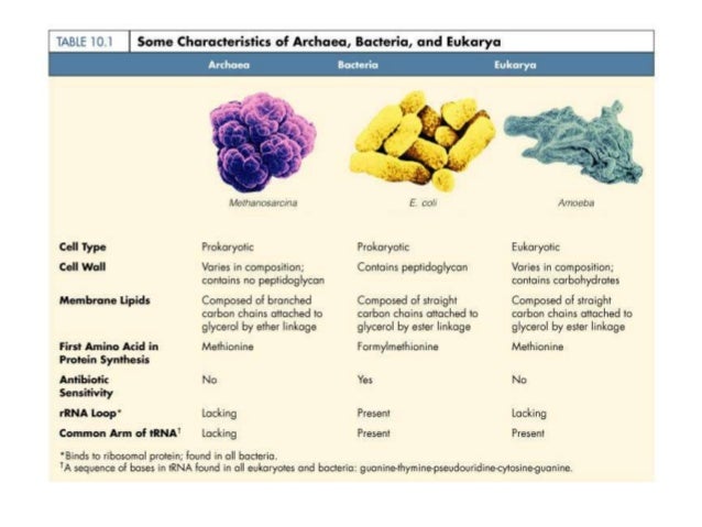 General Characters Of Microorganisms