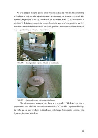 As uvas chegam da serra gaucha um a dois dias depois de colhidas. Imediatamente
após chegar a vinícola, elas são esmagadas e separadas da parte não aproveitável com
aparelho próprio (FIGURA 2) e colocadas em barris (FIGURA 3). A esta mistura é
corrigido o ºBrix (concentração de açúcar do mosto), que deve estar em torno de 21°.
Também é adicionado metabissulfito de sódio, que tem a função de selecionar o tipo de
microorganismos que irão crescer na mistura.
FIGURA 2 – Desengaçadeira e prensa utilizada na propriedade.
FIGURA 3 – Barris onde ocorre a fermentação turbulenta
São adicionadas as leveduras para fazer a fermentação (FIGURA 4), na qual o
produtor utilizada leveduras selecionadas francesas MYCOFERM. Dependendo do tipo
de vinho que se quer produzir, é deixado por certo tempo fermentando o mosto. Esta
fermentação ocorre ao ar livre.
18
 