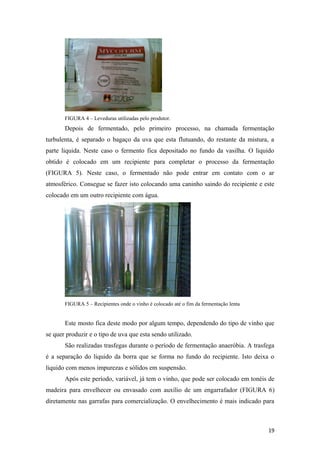 FIGURA 4 – Leveduras utilizadas pelo produtor.
Depois de fermentado, pelo primeiro processo, na chamada fermentação
turbulenta, é separado o bagaço da uva que esta flutuando, do restante da mistura, a
parte liquida. Neste caso o fermento fica depositado no fundo da vasilha. O liquido
obtido é colocado em um recipiente para completar o processo da fermentação
(FIGURA 5). Neste caso, o fermentado não pode entrar em contato com o ar
atmosférico. Consegue se fazer isto colocando uma caninho saindo do recipiente e este
colocado em um outro recipiente com água.
FIGURA 5 – Recipientes onde o vinho é colocado até o fim da fermentação lenta
Este mosto fica deste modo por algum tempo, dependendo do tipo de vinho que
se quer produzir e o tipo de uva que esta sendo utilizado.
São realizadas trasfegas durante o período de fermentação anaeróbia. A trasfega
é a separação do liquido da borra que se forma no fundo do recipiente. Isto deixa o
liquido com menos impurezas e sólidos em suspensão.
Após este período, variável, já tem o vinho, que pode ser colocado em tonéis de
madeira para envelhecer ou envasado com auxílio de um engarrafador (FIGURA 6)
diretamente nas garrafas para comercialização. O envelhecimento é mais indicado para
19
 