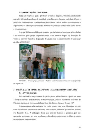 2.5 – OBSEVAÇÕES DO GRUPO:
Pôde ser observado que o produtor, apesar de pequeno, trabalha com bastante
capricho fabricando produtos de qualidade e também com bastante variedade. Como o
grupo não tinha nenhuma experiência na produção de vinhos, a visita que antecedeu o
experimento de fabricação de vinho foi bastante útil para que soubéssemos como iniciar
o processamento.
O grupo foi bem recebido pelo produtor que inclusive se interessou pelo trabalho
a ser realizado pelo grupo, disponibilizando a sua apostila própria de produção de
vinhos e também ficando a disposição do grupo para o esclarecimento de quaisquer
dúvidas. (FIGURA 8)
FIGURA 8 – Foto do grupo junto com o Produtor Carlos Eduardo Antunes em sua propriedade
em Itapira – SP.
3 – PRODUÇÃO DE VINHO BRANCO DE UVAS THOMPSON SEEDLESS:
3.1 – INTRODUÇÃO:
Foi realizado o experimento de produção de vinho branco a partir de uvas
Thompson seedless no Laboratório de Microbiologia Aplicada e Controle, no Centro de
Ciências Agrárias da Universidade Federal de São Carlos, Campus Araras – SP.
O grupo optou pela realização do vinho branco com uvas Thompson por ser
tratar de uma uva sem estudos realizados anteriormente e também por se tratar de uma
uva bastante doce. A utilização dessa uva também facilitou o processo por não
apresentar sementes e ser uma uva branca, obtendo-se assim menos resíduos e menos
escurecimento do vinho final.
21
 