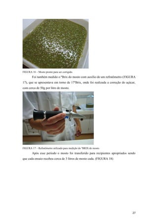 FIGURA 16 – Mosto pronto para ser corrigido.
Foi também medido o ºBrix do mosto com auxílio de um refratômetro (FIGURA
17), que se apresentava em torno de 17ºBrix, onde foi realizada a correção do açúcar,
com cerca de 50g por litro de mosto.
FIGURA 17 – Refratômetro utilizado para medição do ºBRIX do mosto.
Após esse período o mosto foi transferido para recipientes apropriados sendo
que cada ensaio recebeu cerca de 3 litros de mosto cada. (FIGURA 18)
27
 