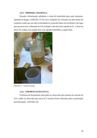 3.2.5 – PRIMEIRA TRASFEGA:
Passada a fermentação turbulenta, o vinho foi transferido para outro recipiente,
separado do bagaço. (FIGURA 21) No novo recipiente foi colocado um tubo dentro do
recipiente sendo que sua outra extremidade foi colocada dentro de um Becker com água
para que houvesse a liberação do CO2 formado e não houvesse entrada de O2. A boca do
frasco foi vedada com tampão feito com algodão hidrofóbico e papel filme.
FIGURA 21 – Primeira trasfega
3.2.6 – FERMENTAÇÃO LENTA:
O término da fermentação lenta pôde ser observado pela ausência de emissão de
CO2 e pôde ser observado que cerca de 2 semanas foram suficientes para a paralisação
da fermentação. (FIGURA 22)
30
 