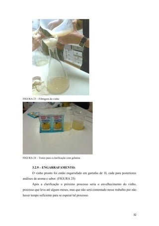 FIGURA 23 – Filtragem do vinho
FIGURA 24 – Testes para a clarificação com gelatina
3.2.9 – ENGARRAFAMENTO:
O vinho pronto foi então engarrafado em garrafas de 1L cada para posteriores
análises de aroma e sabor. (FIGURA 25)
Após a clarificação o próximo processo seria o envelhecimento do vinho,
processo que leva até alguns meses, mas que não será comentado nesse trabalho por não
haver tempo suficiente para se esperar tal processo.
32
 