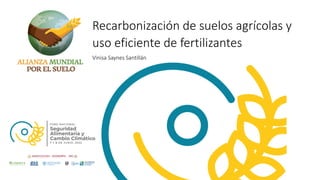 Recarbonización de suelos agrícolas y
uso eficiente de fertilizantes
Vinisa Saynes Santillán
 