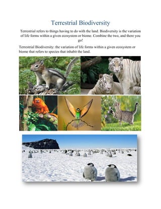 Terrestrial Biodiversity
Terrestrial refers to things having to do with the land. Biodiversity is the variation
of life forms within a given ecosystem or biome. Combine the two, and there you
go!
Terrestrial Biodiversity: the variation of life forms within a given ecosystem or
biome that refers to species that inhabit the land.
 
