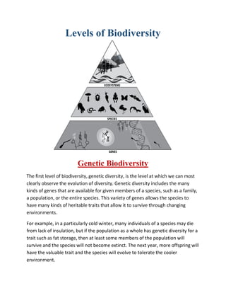 Levels of Biodiversity
Genetic Biodiversity
The first level of biodiversity, genetic diversity, is the level at which we can most
clearly observe the evolution of diversity. Genetic diversity includes the many
kinds of genes that are available for given members of a species, such as a family,
a population, or the entire species. This variety of genes allows the species to
have many kinds of heritable traits that allow it to survive through changing
environments.
For example, in a particularly cold winter, many individuals of a species may die
from lack of insulation, but if the population as a whole has genetic diversity for a
trait such as fat storage, then at least some members of the population will
survive and the species will not become extinct. The next year, more offspring will
have the valuable trait and the species will evolve to tolerate the cooler
environment.
 