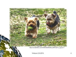 Vinkovci 2.9.2015. 4
https://c2.staticflickr.com/4/3409/3544603505_84947cbb14_z.jpg?zz=1
 