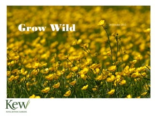 Grow Wild
            24 October 2012
 