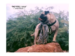 “NO KILL 2020”
--- A New Brand ---
 