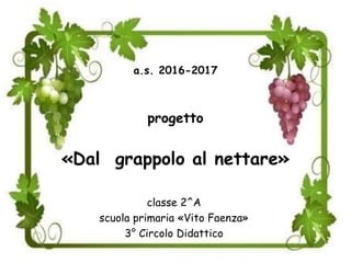 a.s. 2016-2017
progetto
«Dal grappolo al nettare»
classe 2^A
scuola primaria «Vito Faenza»
3° Circolo Didattico
 