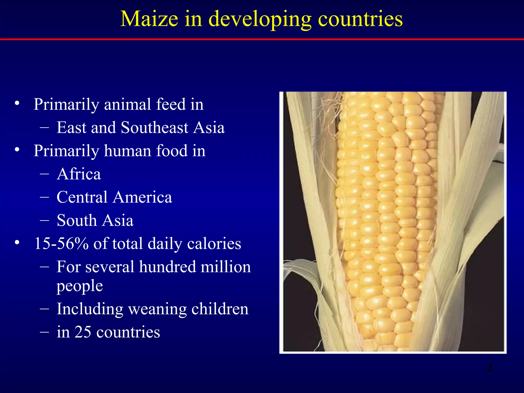 3
• Primarily animal feed in
– East and Southeast Asia
• Primarily human food in
– Africa
– Central America
– South Asia
• 15-56% of total daily calories
– For several hundred million
people
– Including weaning children
– in 25 countries
Maize in developing countries
 