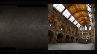 Vinod more artist 2016