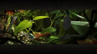 Vinod more artist 2016