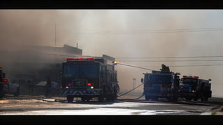 Vinod more artist 2016