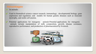 General transfer and transgenic technology in plant and animal | PDF