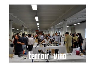 terroir vino
 