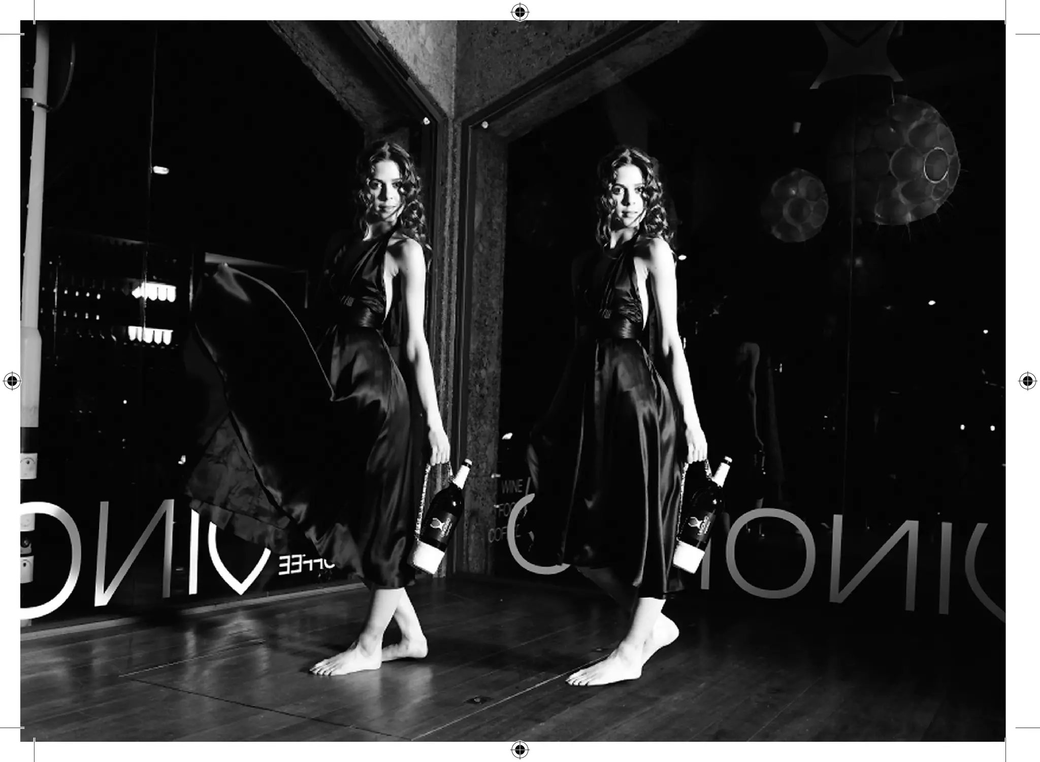 Vinomio Leaflet Eng 2010