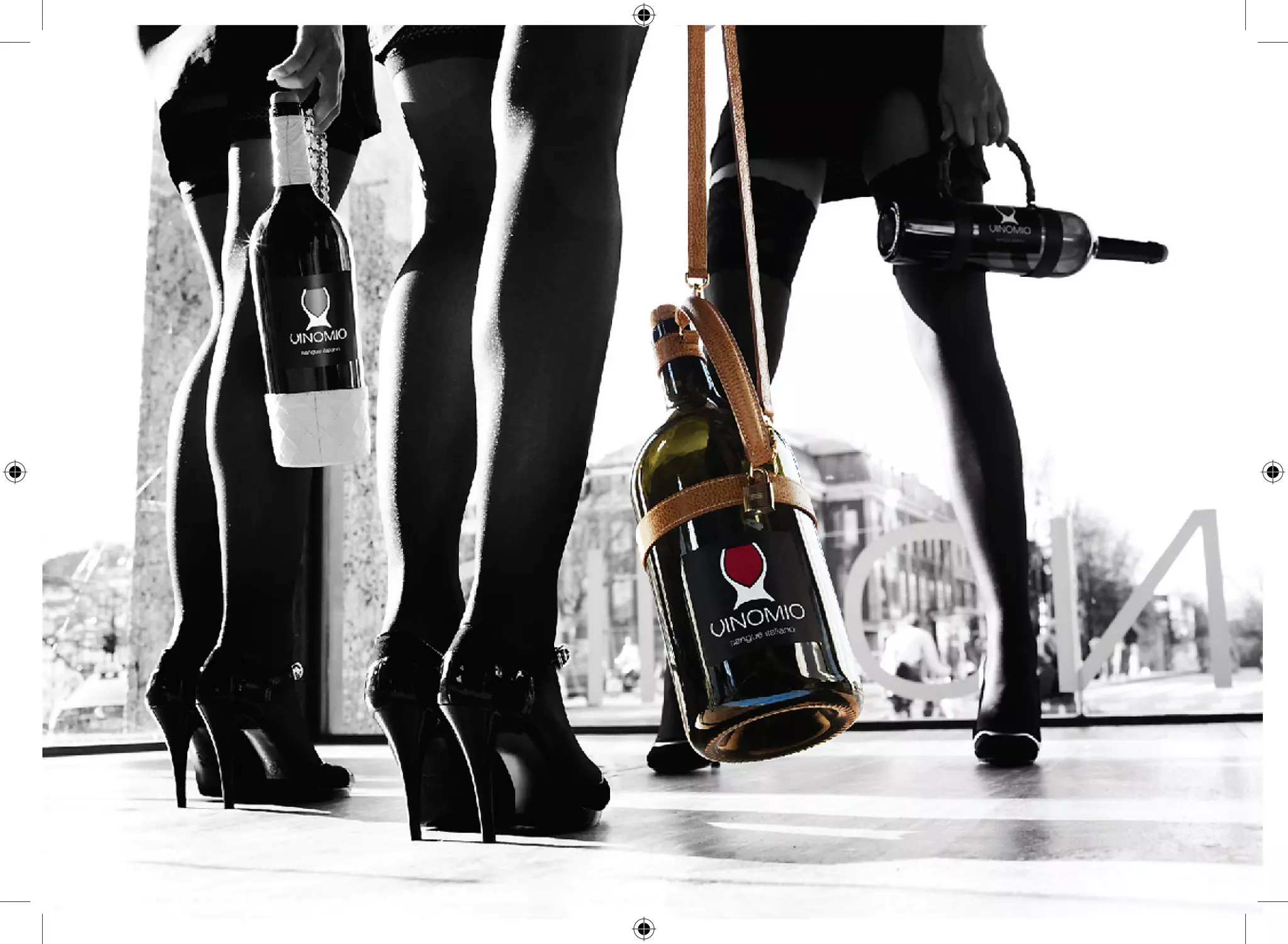 Vinomio Leaflet Eng 2010