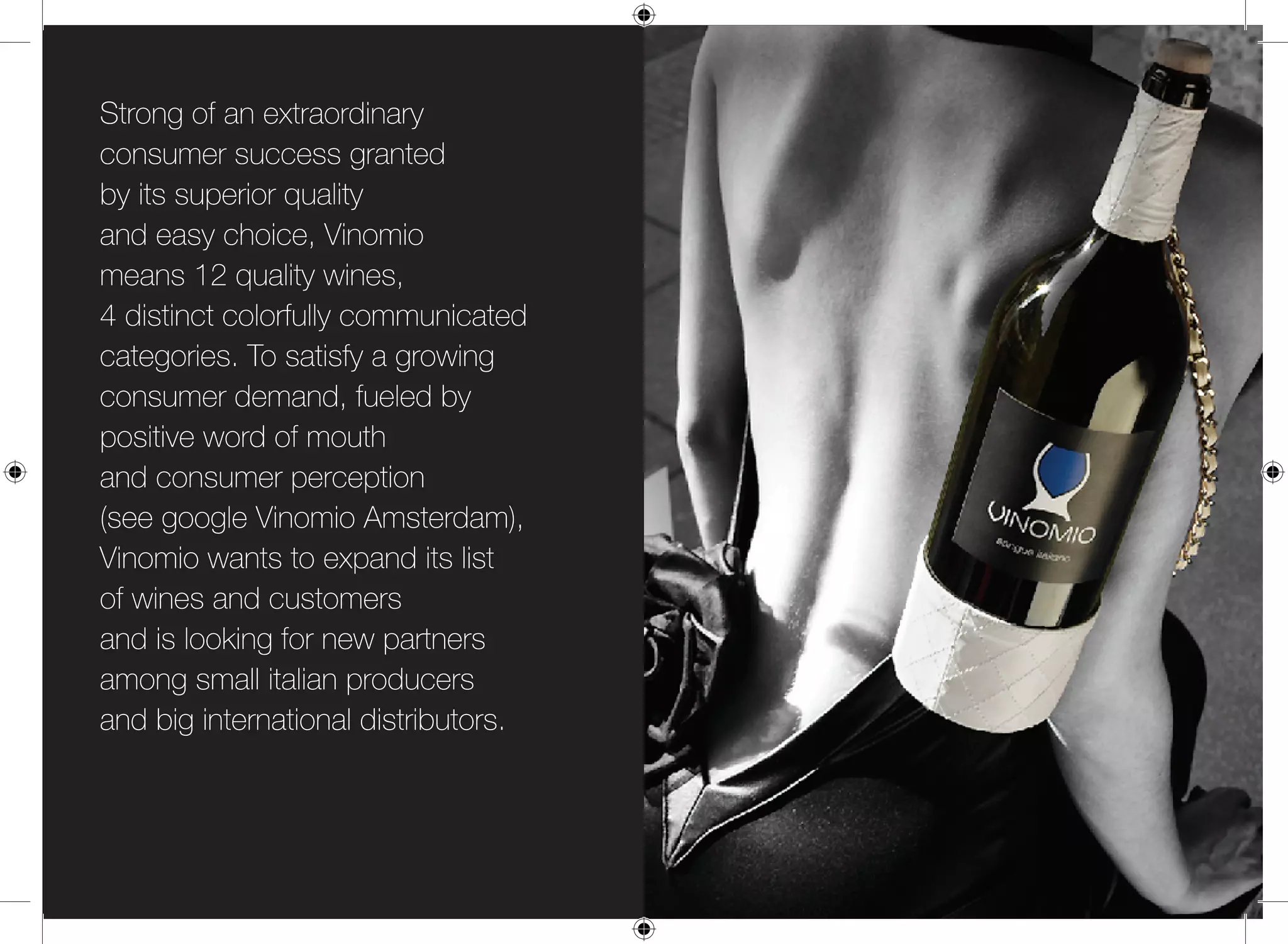 Vinomio Leaflet Eng 2010