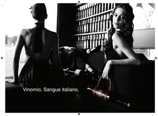 Vinomio Leaflet Eng 2010