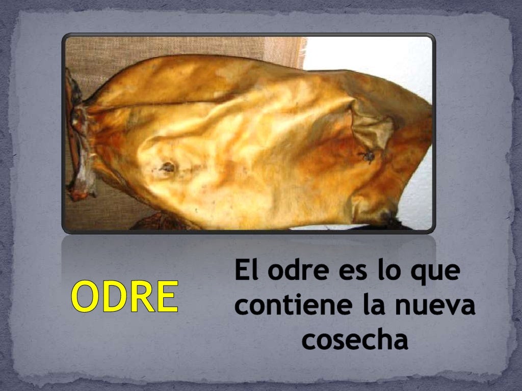 Vino nuevo Odres nuevos