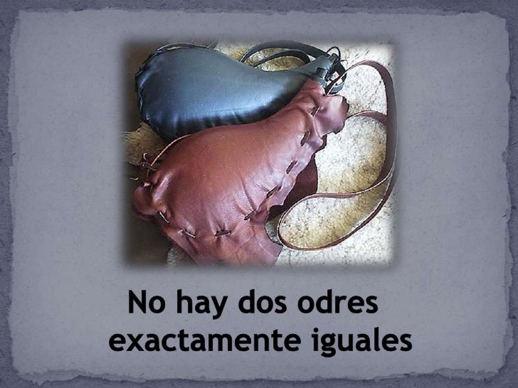 Vino nuevo Odres nuevos