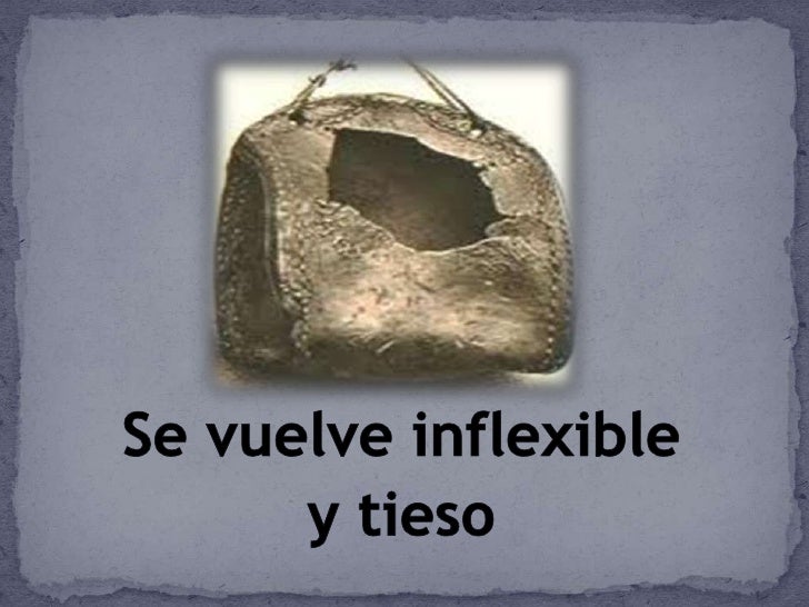 Vino nuevo Odres nuevos