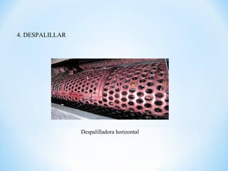4. DESPALILLAR
Despalilladora horizontal
 