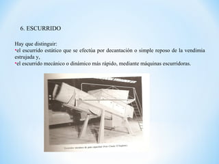6. ESCURRIDO
Hay que distinguir:
•el escurrido estático que se efectúa por decantación o simple reposo de la vendimia
estrujada y,
•el escurrido mecánico o dinámico más rápido, mediante máquinas escurridoras.
 