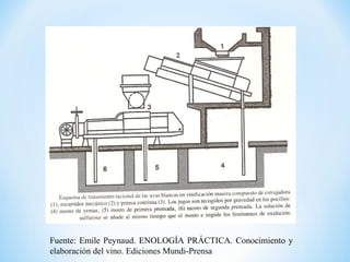 Fuente: Emile Peynaud. ENOLOGÍA PRÁCTICA. Conocimiento y
elaboración del vino. Ediciones Mundi-Prensa
 