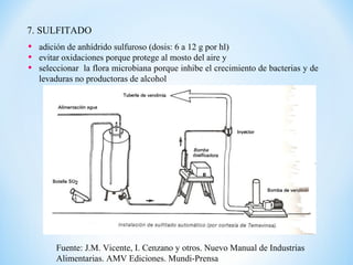 7. SULFITADO
Fuente: J.M. Vicente, I. Cenzano y otros. Nuevo Manual de Industrias
Alimentarias. AMV Ediciones. Mundi-Prensa
• adición de anhídrido sulfuroso (dosis: 6 a 12 g por hl)
• evitar oxidaciones porque protege al mosto del aire y
• seleccionar la flora microbiana porque inhibe el crecimiento de bacterias y de
levaduras no productoras de alcohol
 