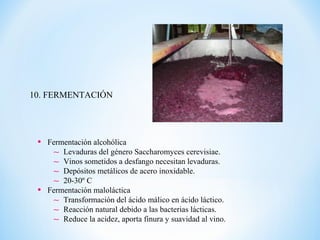 10. FERMENTACIÓN
• Fermentación alcohólica
∼ Levaduras del género Saccharomyces cerevisiae.
∼ Vinos sometidos a desfango necesitan levaduras.
∼ Depósitos metálicos de acero inoxidable.
∼ 20-30º C
• Fermentación maloláctica
∼ Transformación del ácido málico en ácido láctico.
∼ Reacción natural debido a las bacterias lácticas.
∼ Reduce la acidez, aporta finura y suavidad al vino.
 