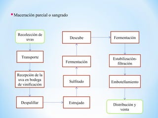 Maceración parcial o sangrado
Recolección de
uvas
Transporte
Fermentación
Sulfitado
EstrujadoDespalillar
Recepción de la
uva en bodega
de vinificación
Descube Fermentación
Embotellamiento
Distribución y
venta
Estabilización-
filtración
 
