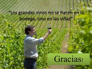 “Los grandes vinos no se hacen en la
     bodega, sino en las viñas”




                     Gracias!
 