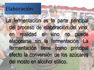 Elaboración

La fermentación es la parte principal
 del proceso de elaboración del vino,
 en realidad el vino no puede
 elaborarse sin la fermentación. La
 fermentación tiene como principal
 efecto la conversión de los azúcares
 del mosto en alcohol etílico.
 
